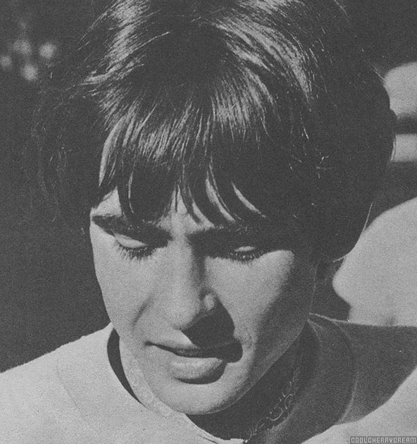 Davy Jones posing