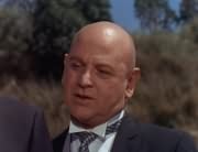 Archduke Otto (Theo Marcuse)