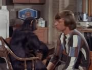 Peter Tork