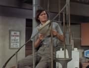Micky Dolenz