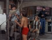 Micky Dolenz, Davy Jones, Peter Tork, Mike Nesmith