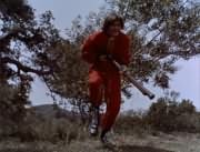 Micky Dolenz