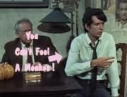 &ldquo;You Can&rsquo;t Fool A Monkee!&rdquo; (Mike Nesmith, Pop Harper)