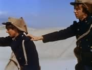 Davy Jones, Peter Tork
