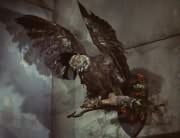 Eagle