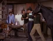 Davy Jones, Peter Tork, Mike Nesmith, Micky Dolenz