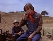 Micky Dolenz, Peter Tork