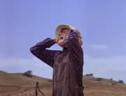 Micky Dolenz