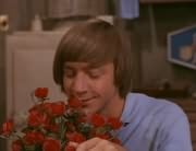 Peter Tork