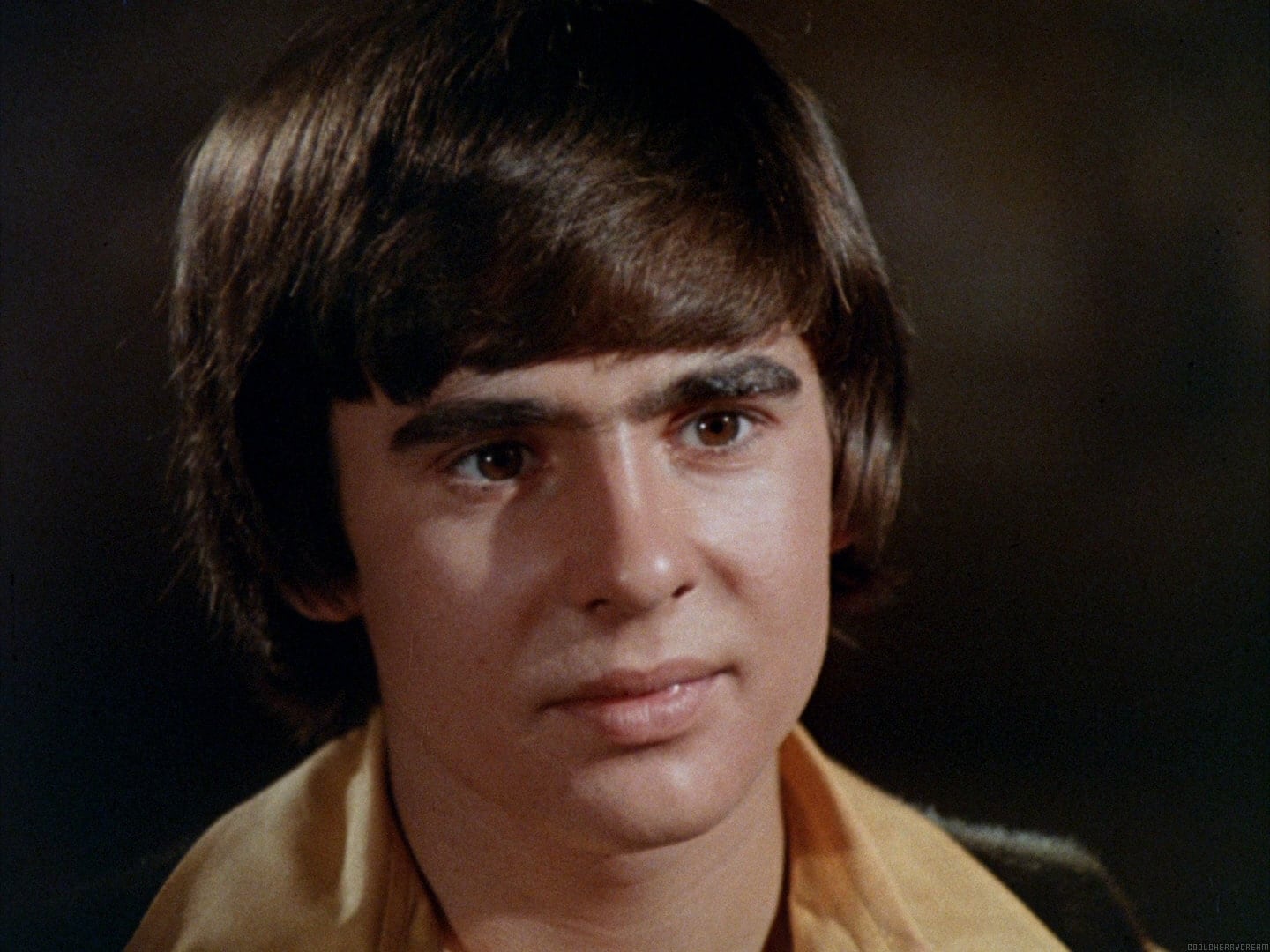 Here Come The Monkees (The Pilot) - Davy Jones