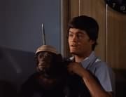 Micky Dolenz