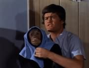 Micky Dolenz