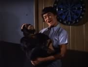 Micky Dolenz