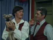 Micky Dolenz, Renaldo