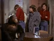 Peter Tork, Prince Ludlow, Micky Dolenz