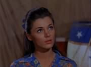 Susan (Donna Baccala)