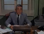 Captain (Robert Strauss)