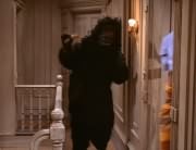 Monkey (?)