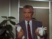 Conventioneer (Foster Brooks)