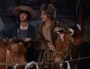 Micky Dolenz, Peter Tork