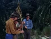 Peter Tork, Davy Jones, Micky Dolenz