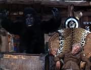 Monkey (John London)
