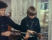 Micky Dolenz, Peter Tork