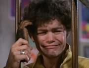 Micky Dolenz