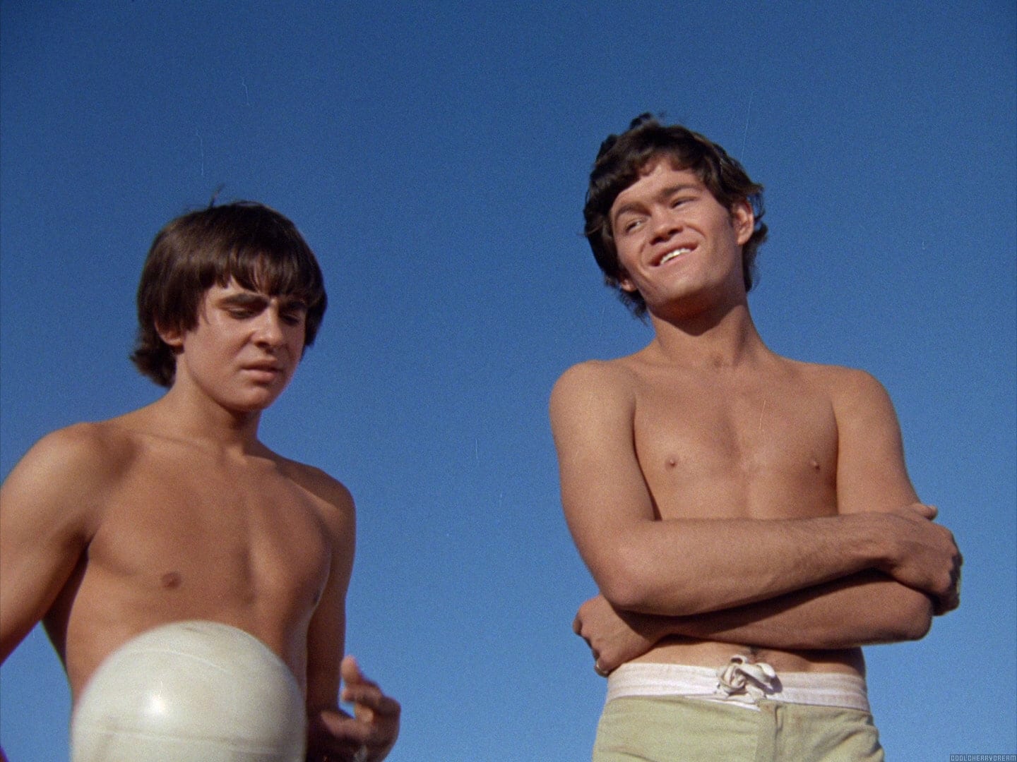 Micky dolenz shirtless