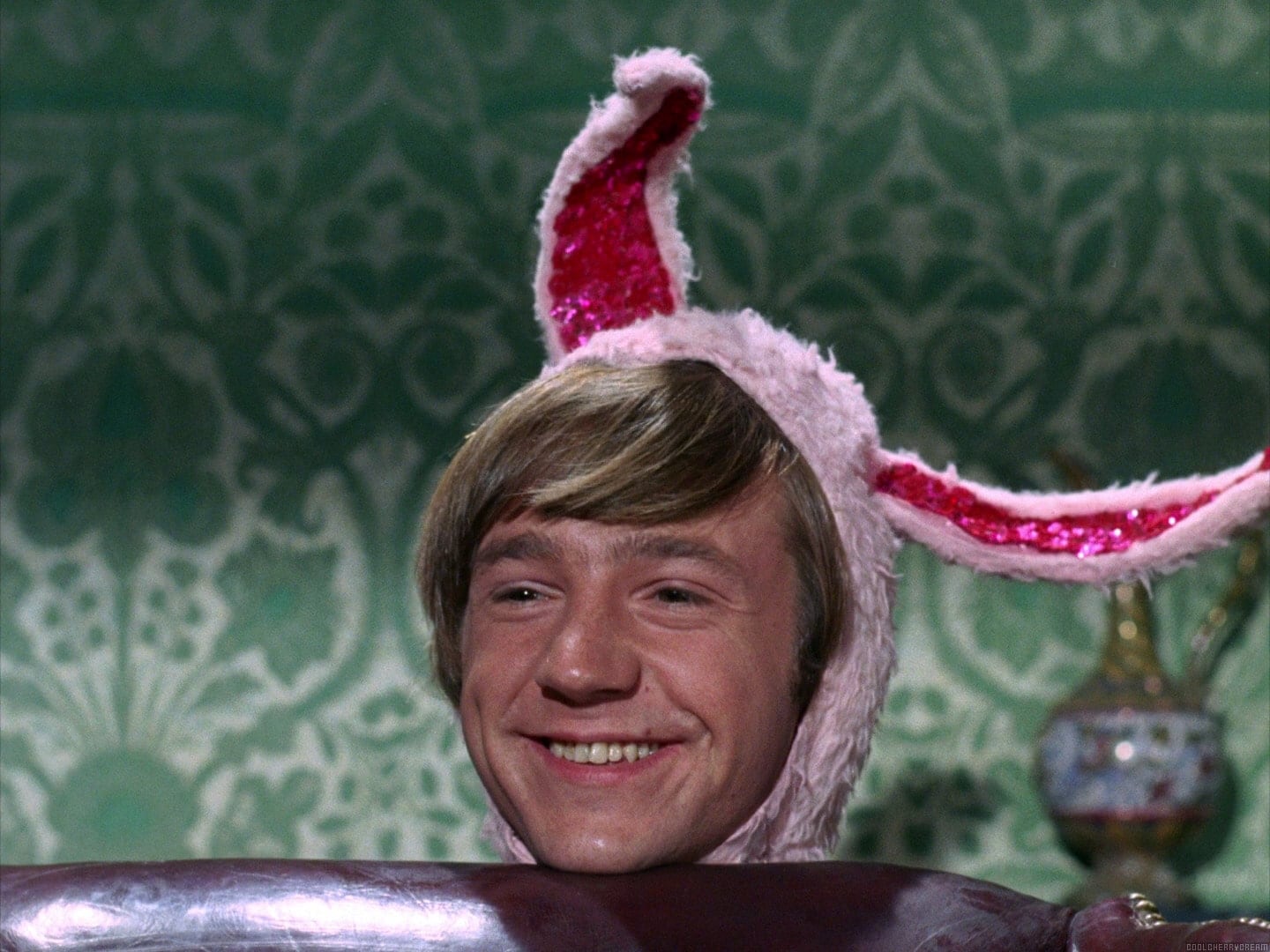 Bunny Ears Pictures  Clothes  Sunshine Factory  Monkees 